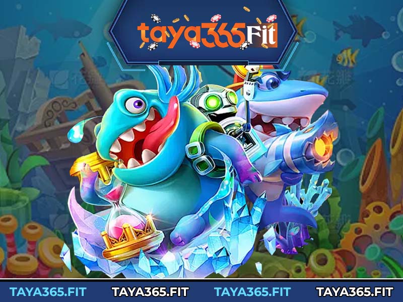 Information We Collect