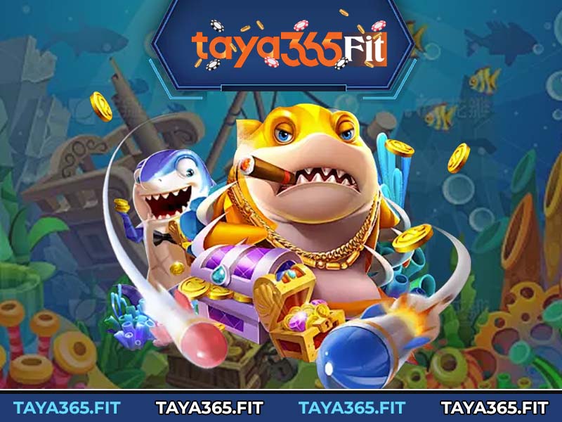 Core Gameplay Mechanics on Taya365